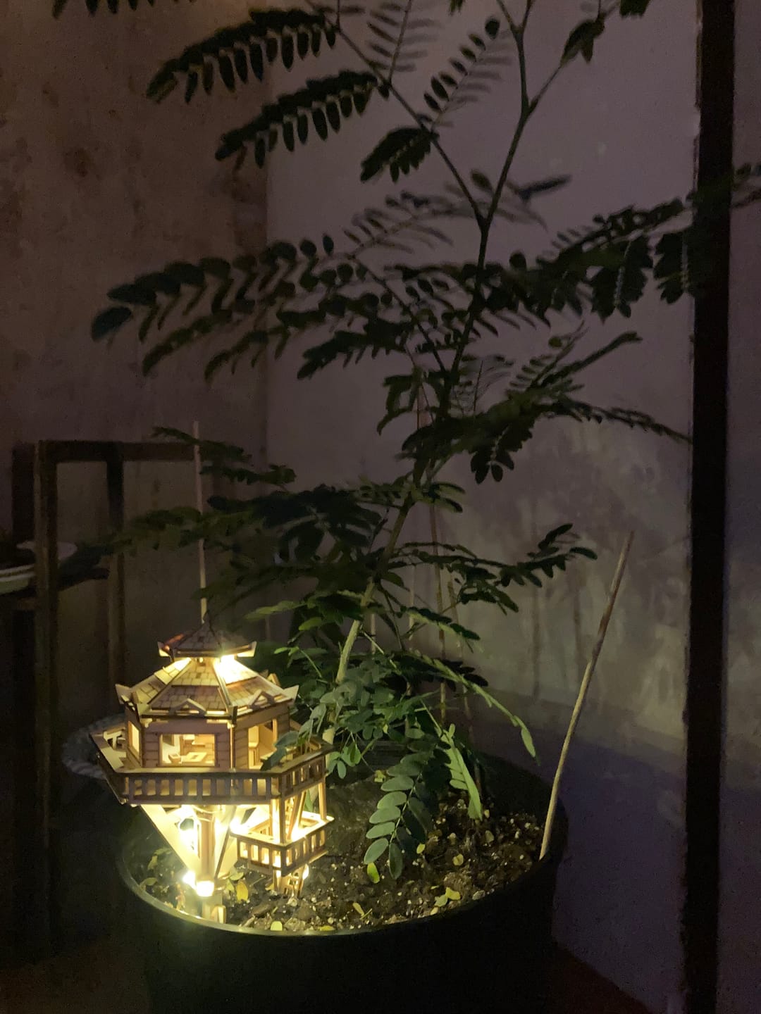 Customer photo review of Woodland Outpost