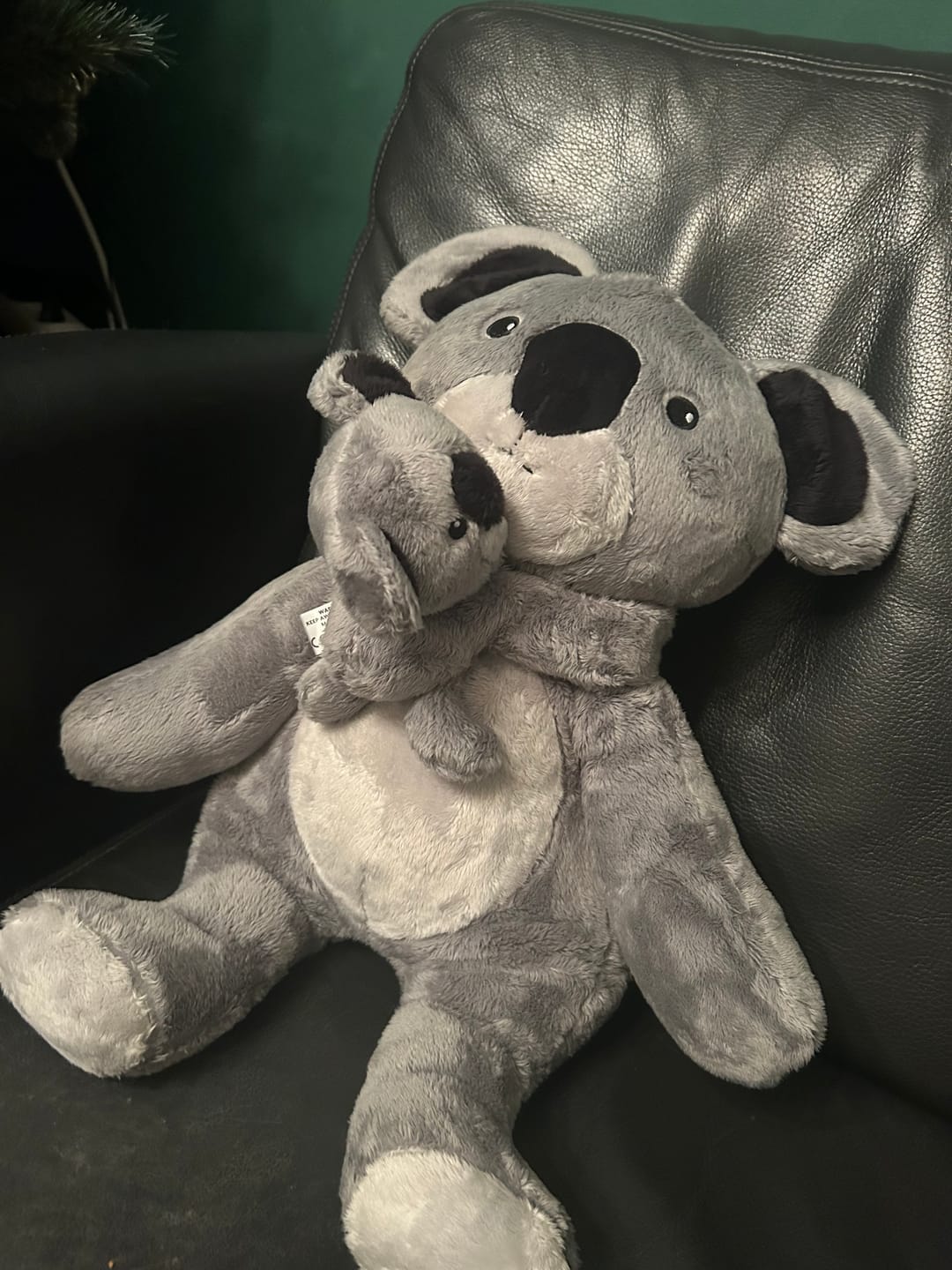 Customer photo review of Mini & Grote Koala - Je bespaart €20