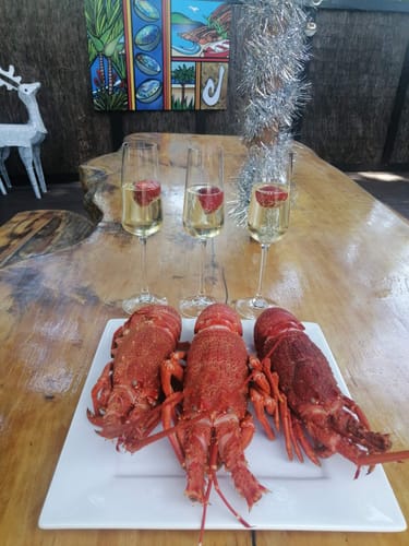 Customer photo review of Live NZ Red Crayfish