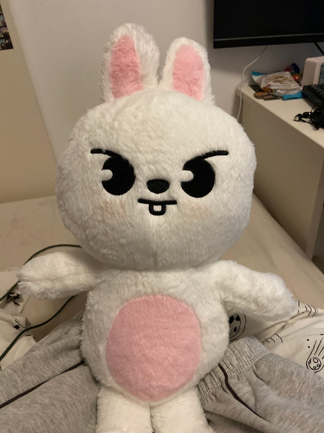 Customer photo review of SKZ Teddybear Plush