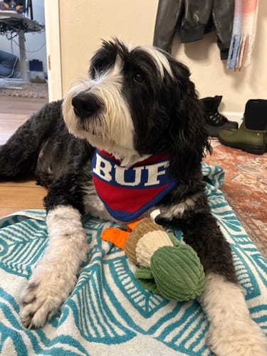 Customer photo review of Buffalo Knit Bandana