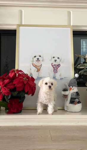 Customer photo review of Artzuzu Custom Portrait For Pets - The Watercolor Portrait