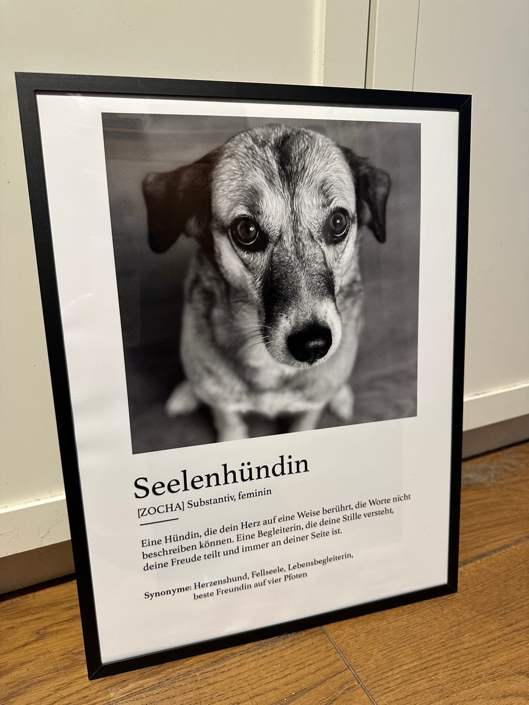 Customer photo review of Definition Seelentier - Individuelles Poster