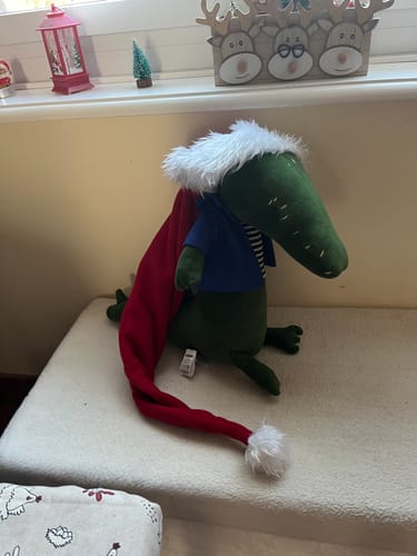 Customer photo review of TONY, LE CROCODILE - L