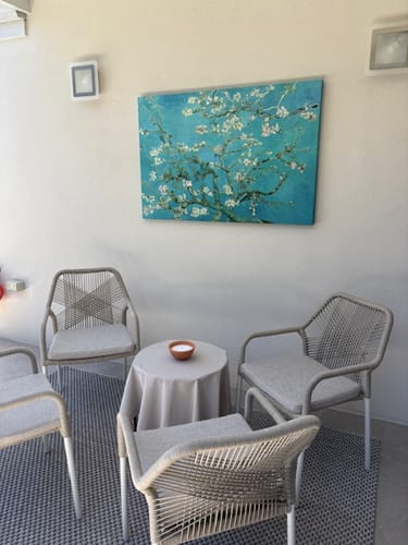 Customer photo review of Branches with Almond Blossom, 1890 by Van Gogh