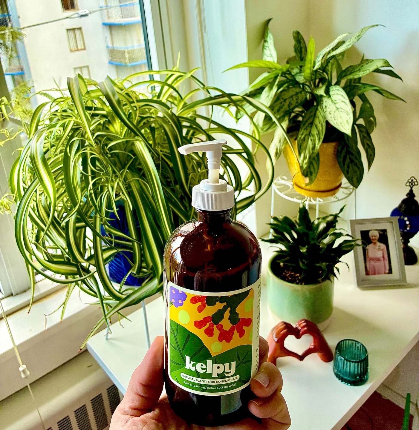 Customer photo review of Kelpy Food for Plants