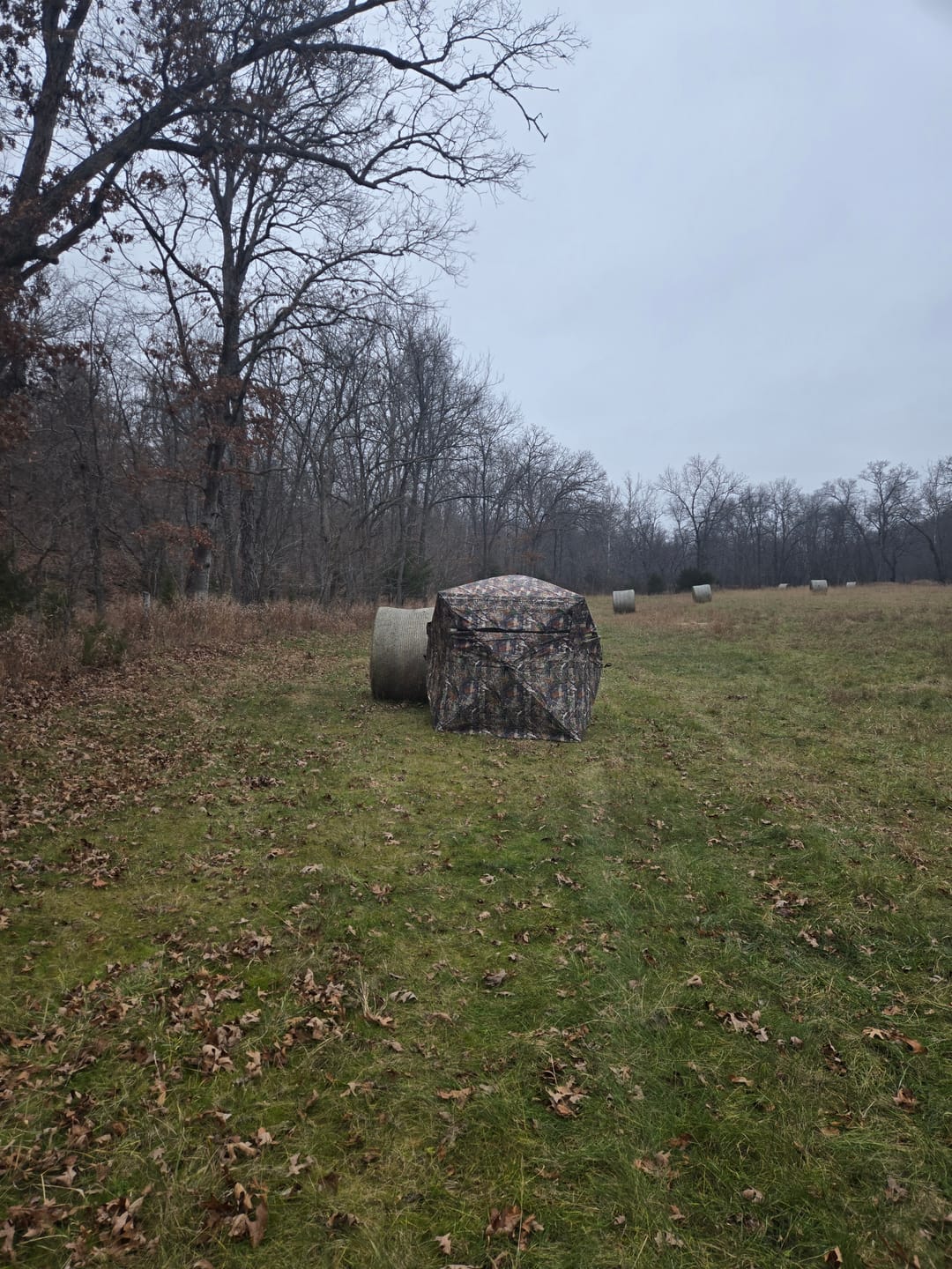 Customer photo review of VisX/VisMax 270 Degree See Through Pop Up Hunting Blind