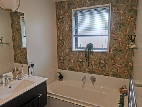 Customer photo review of Ateles Spider Monkey Wallpaper - Sage