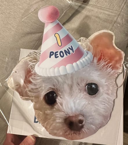 Customer photo review of Personalized Dog Party Pack