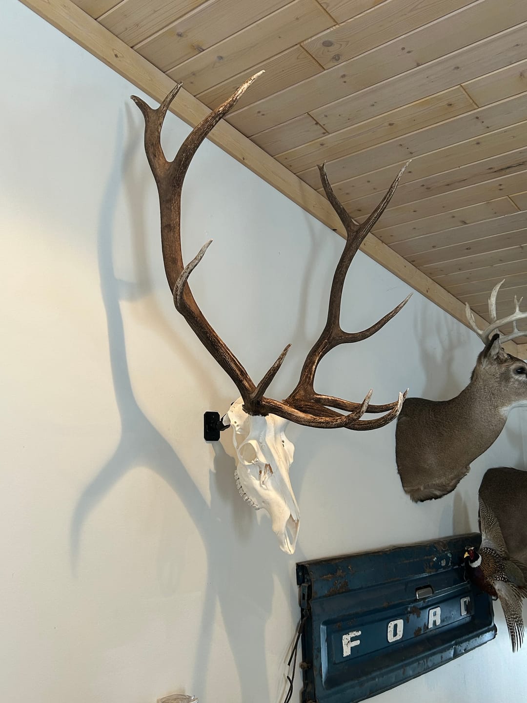 Customer photo review of SkulLok | Large Game