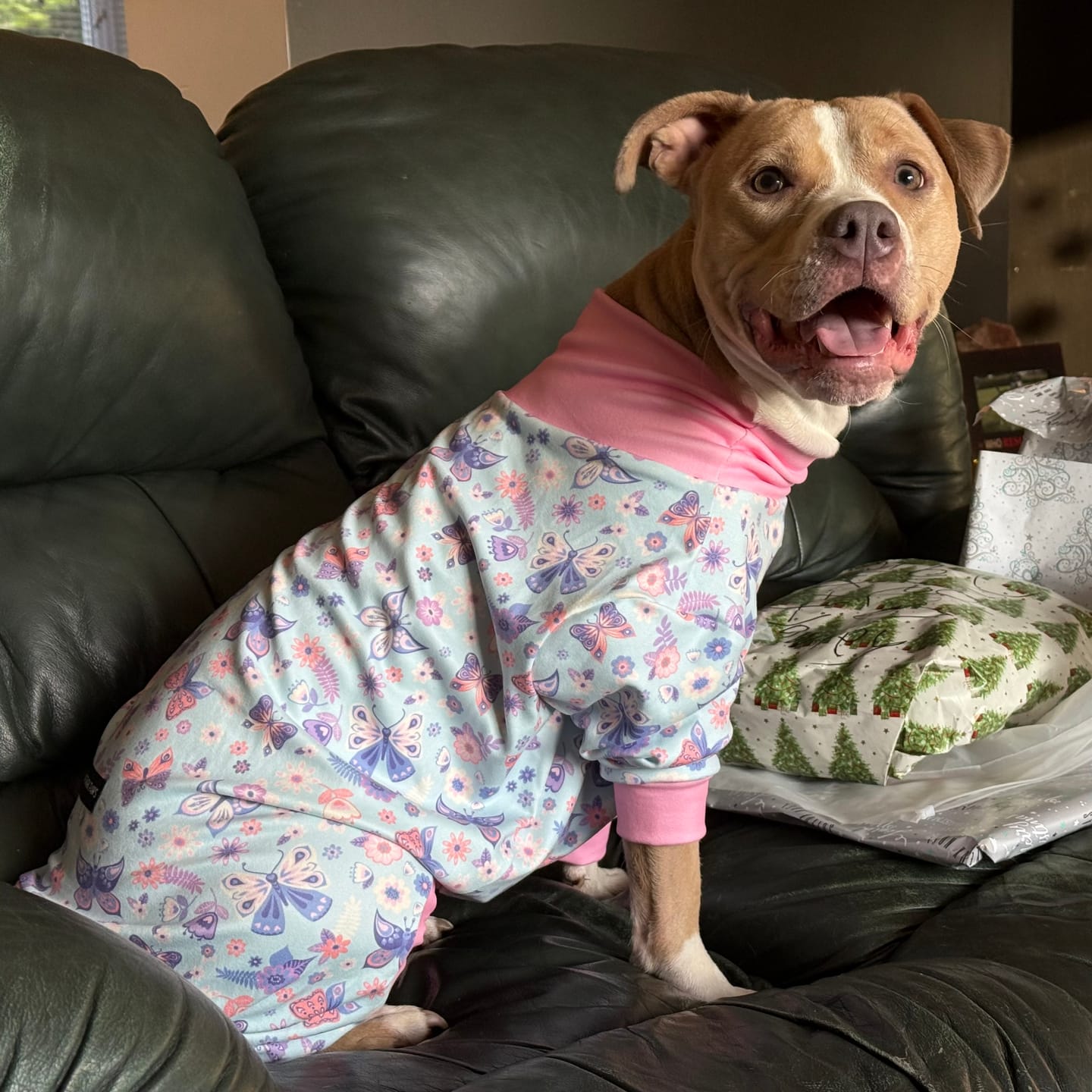 Customer photo review of Dog Pajama - Butterfly