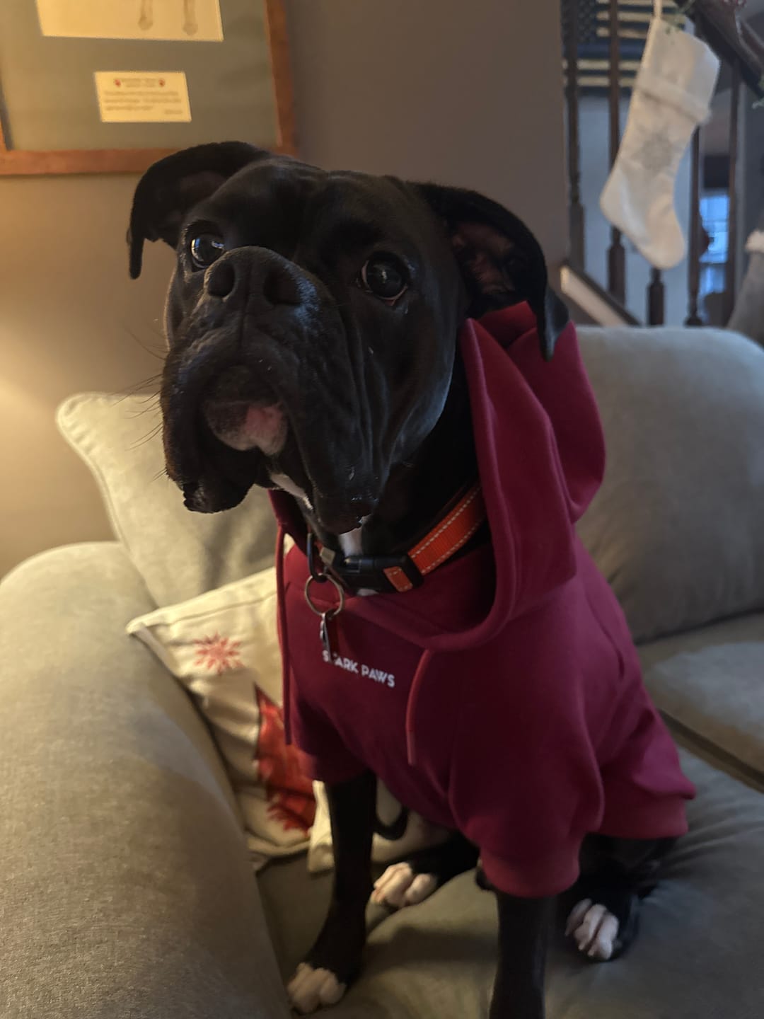 Customer photo review of Essential Human Hoodies