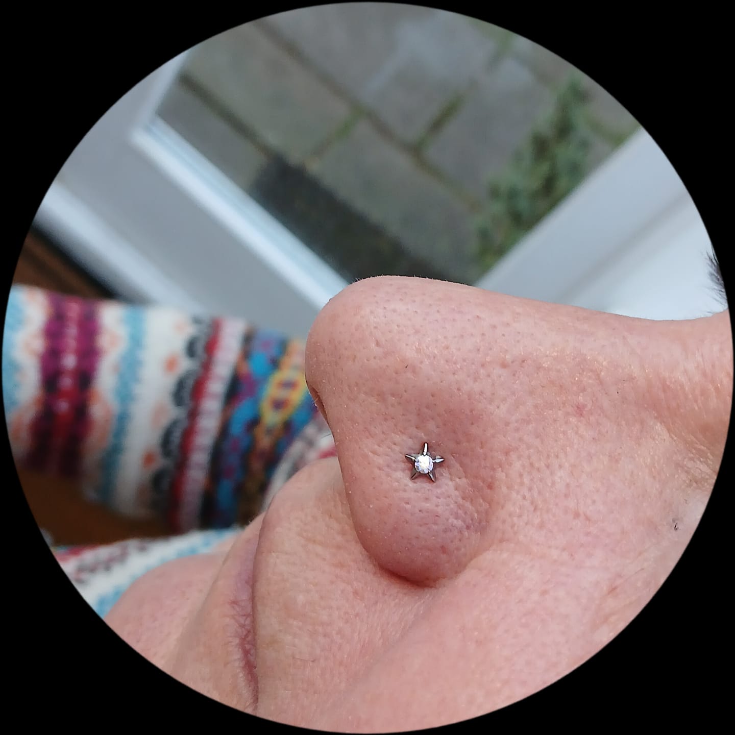 Customer photo review of Junipurr Titanium Flatback Labret Threadless