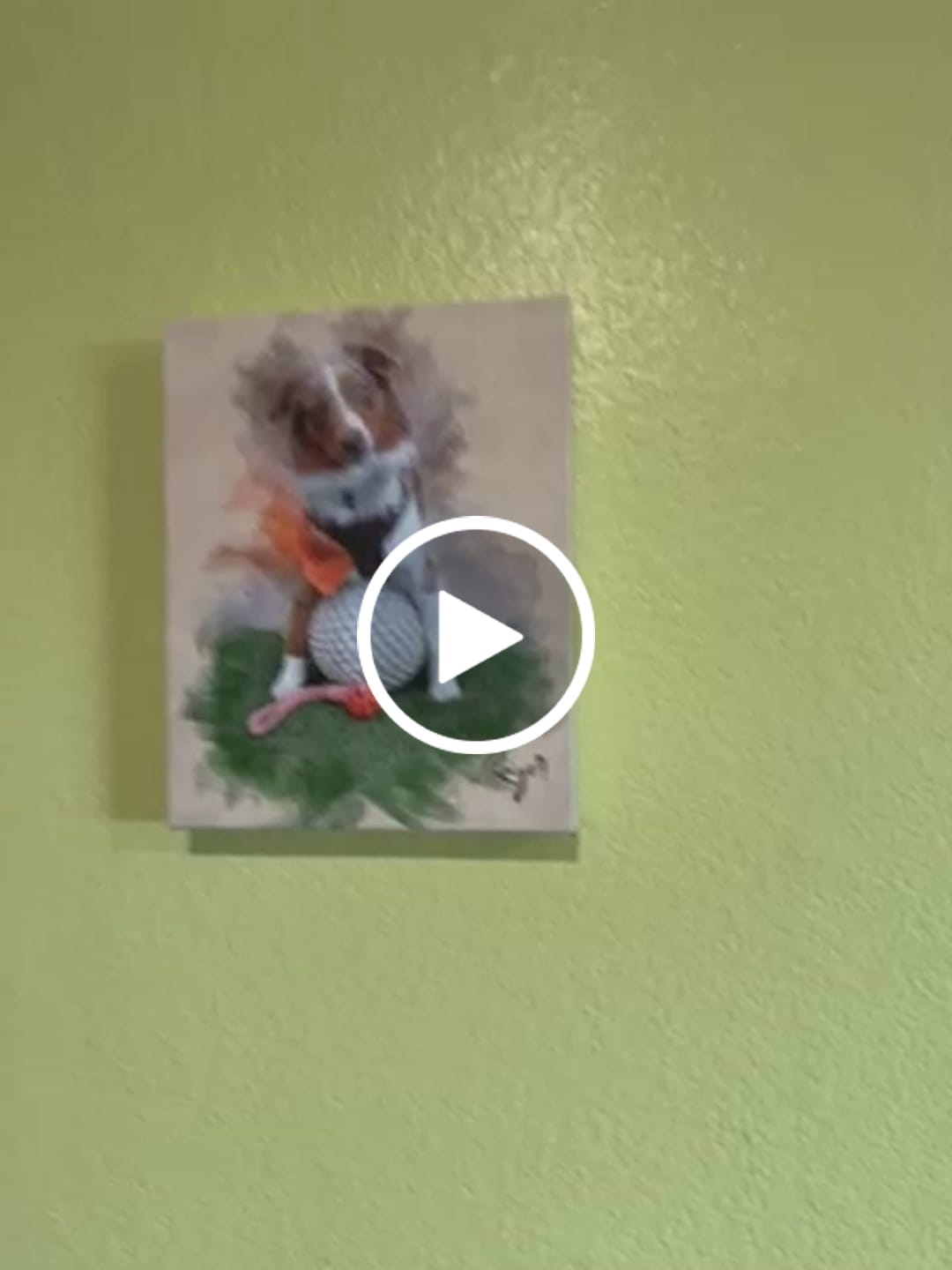 Customer video review of Personalized Pet portrait
