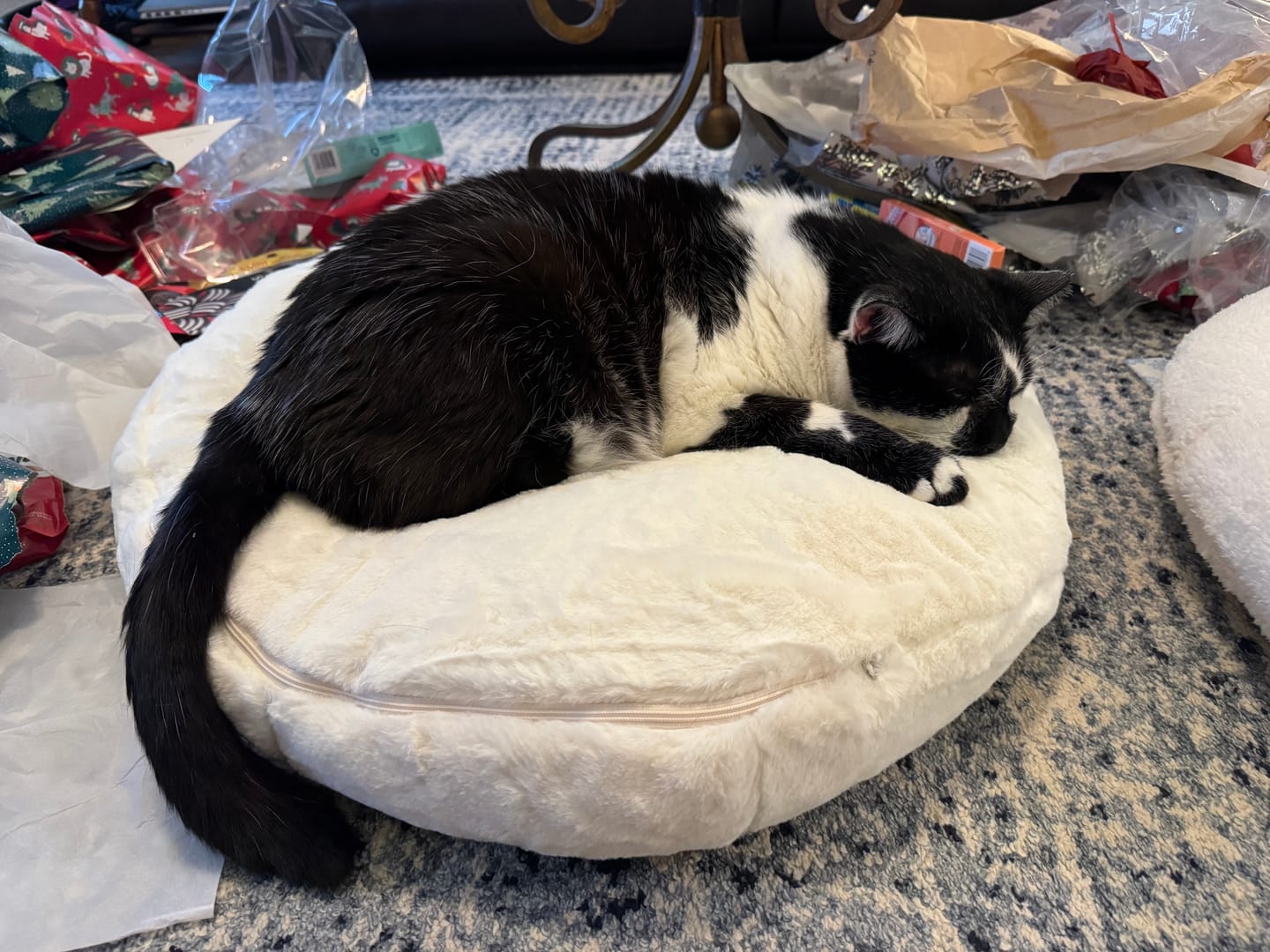 Customer photo review of Sourdough Pudding Bed