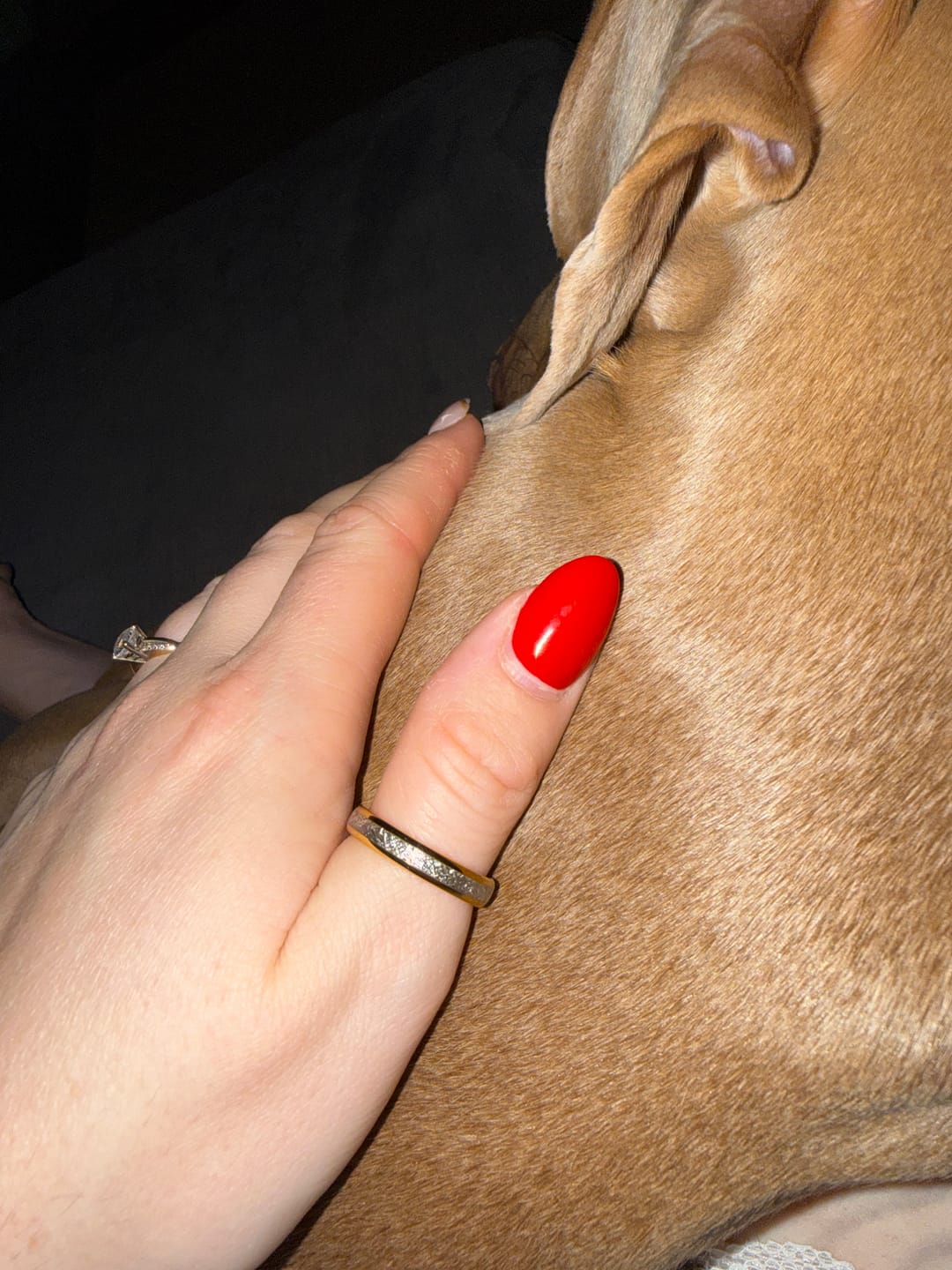 Customer photo review of The Golden Steel Wonder Ring Set