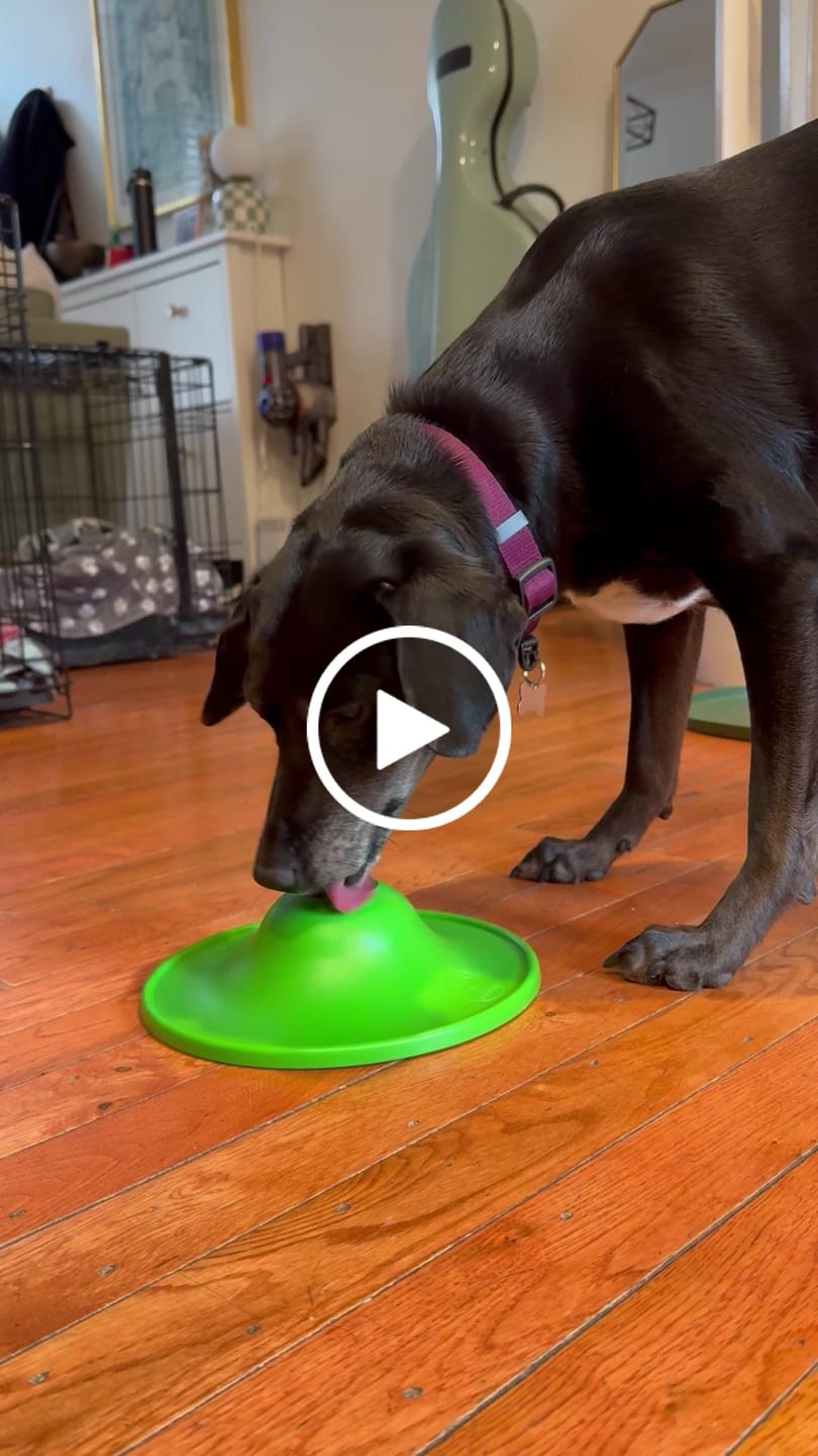 Customer video review of Soothing Saucer