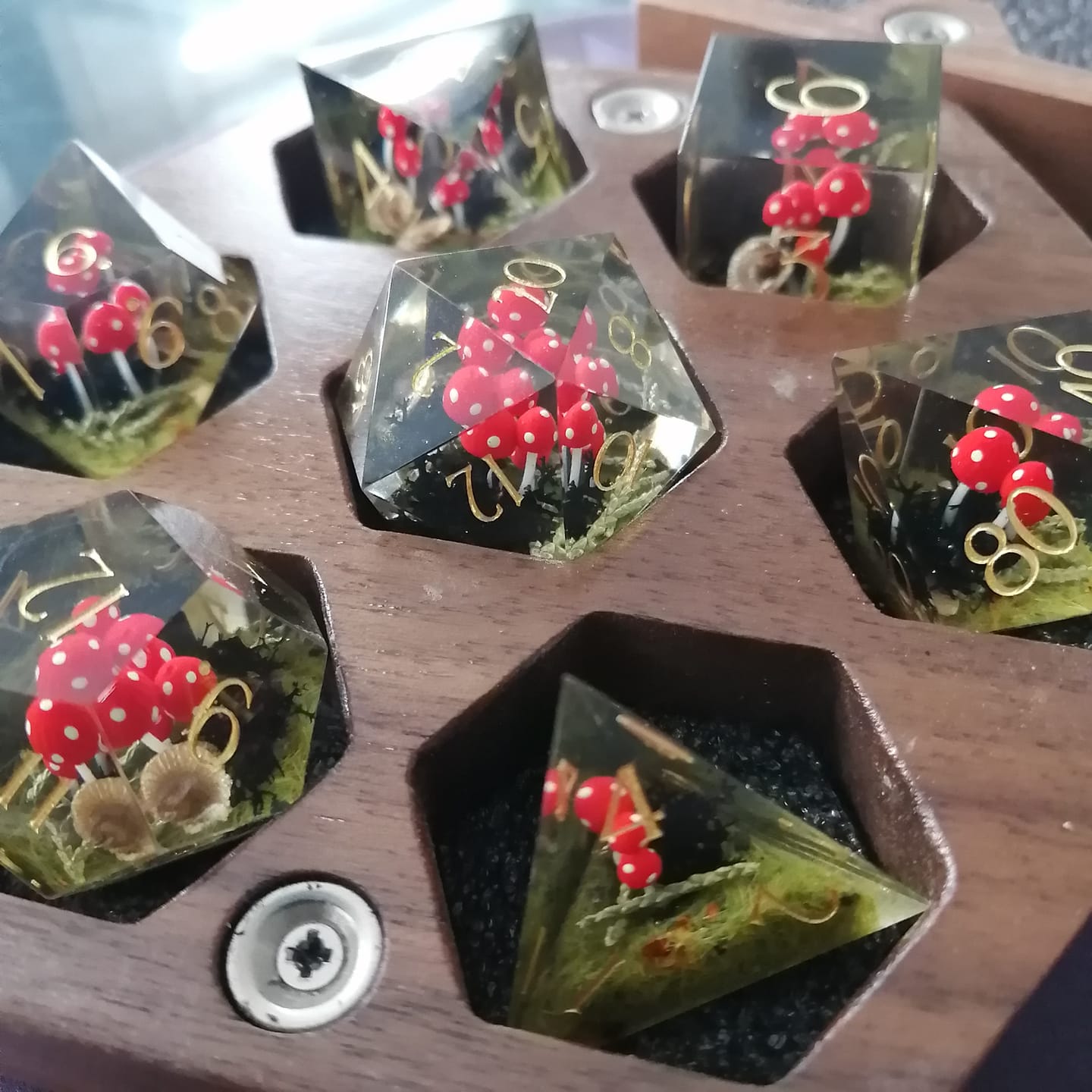 Customer photo review of Red Mushroom Resin Dice Set