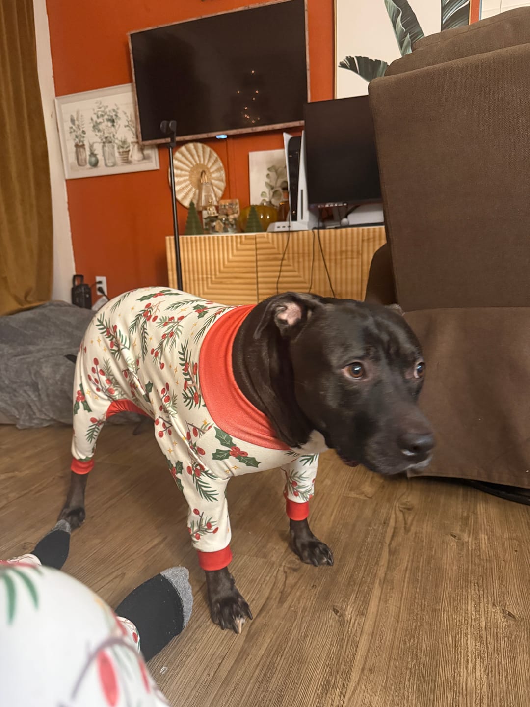 Customer photo review of Christmas Pajama Pants - Mistletoe
