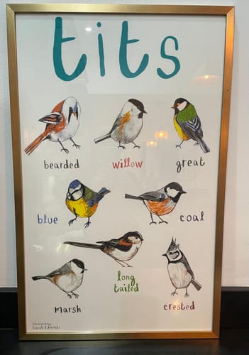 Customer photo review of Tits Cotton Tea Towel