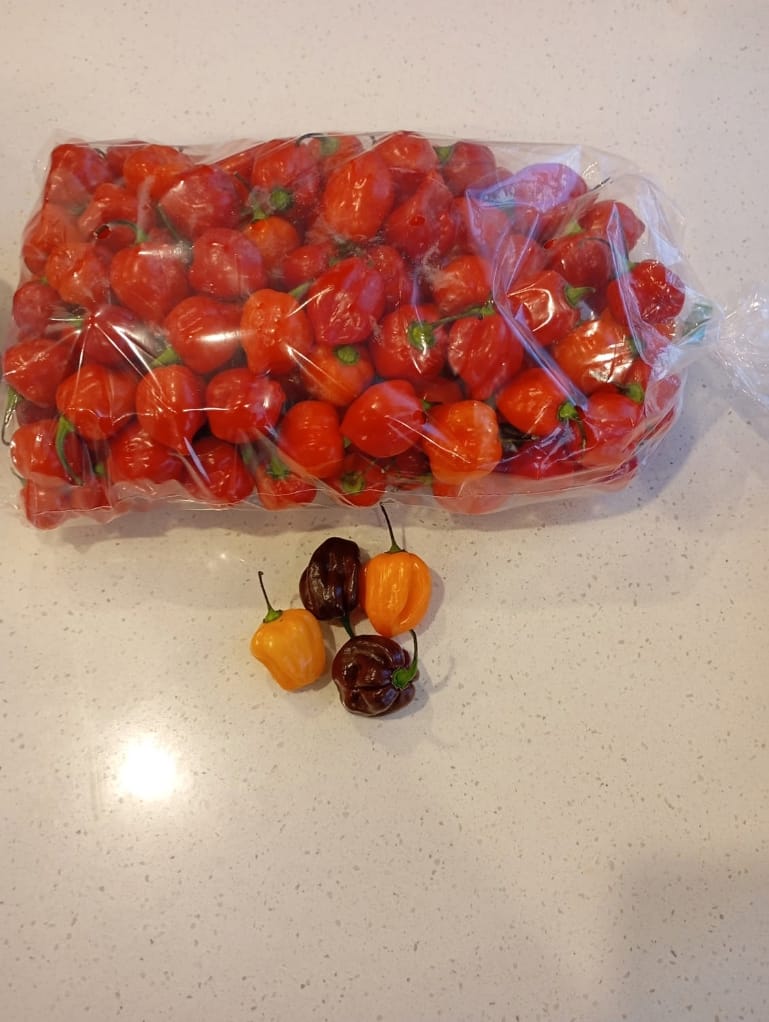 Customer photo review of Fresh Habaneros Red