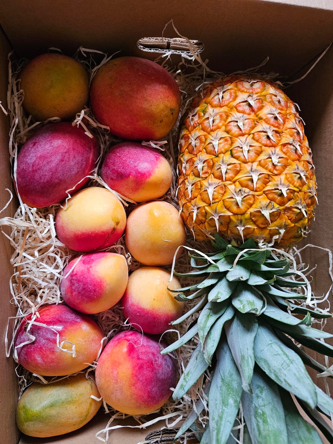 Customer photo review of Mango Sensacion Bio Spätsorte von Paco Sonderpreis %