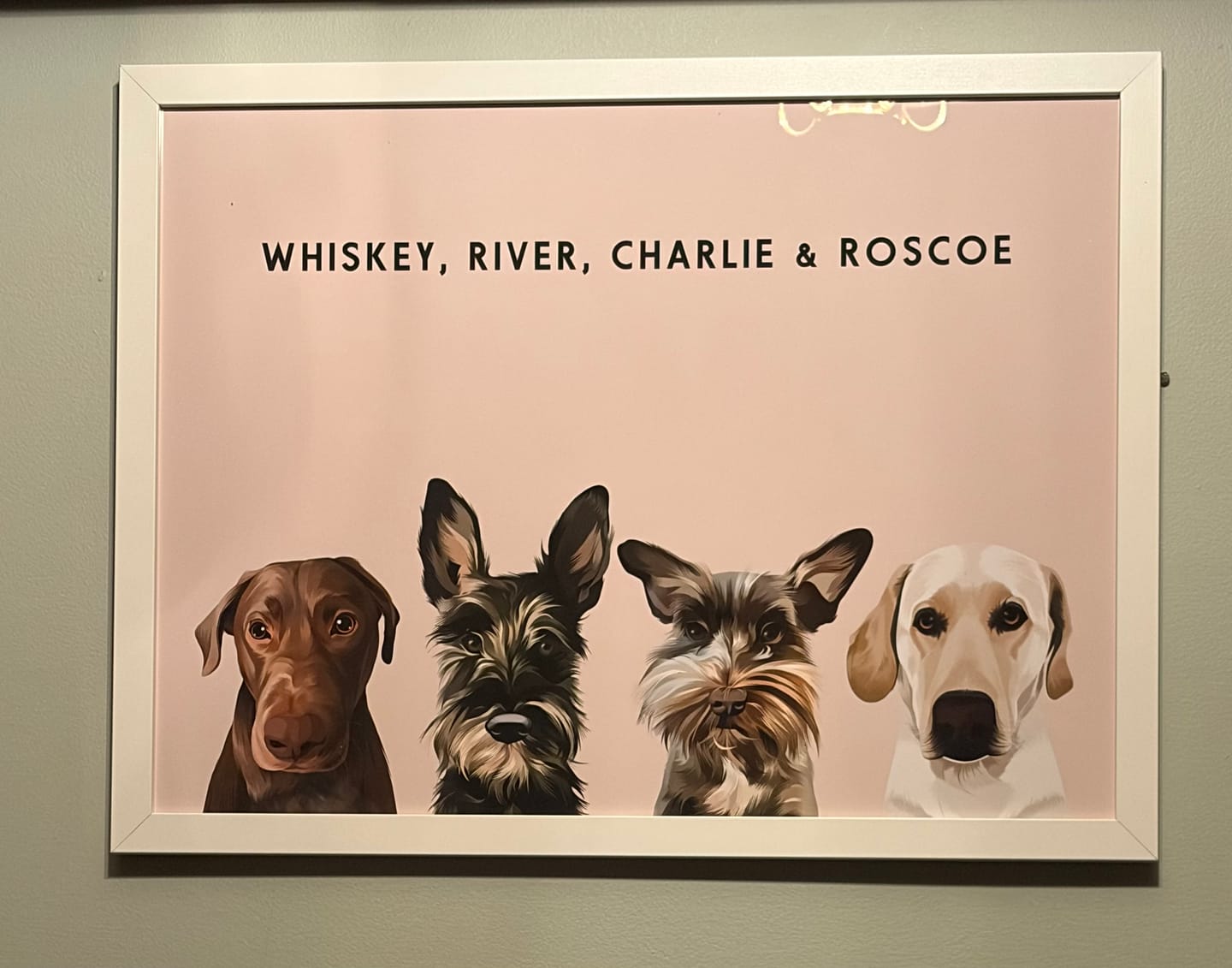 Customer photo review of Custom Four Pet Portrait