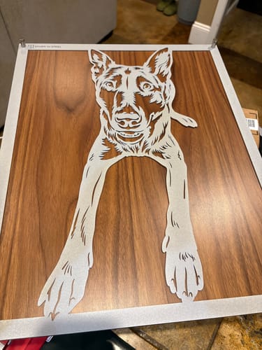 Customer photo review of Custom Pet Metal Portrait