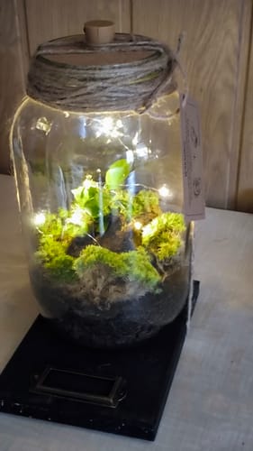 Kunde zeigt sein Überraschungs-Produkt: ein dekorativer Flaschengarten in einem Glas, der mit einer Lichterkette beleuchtet ist.