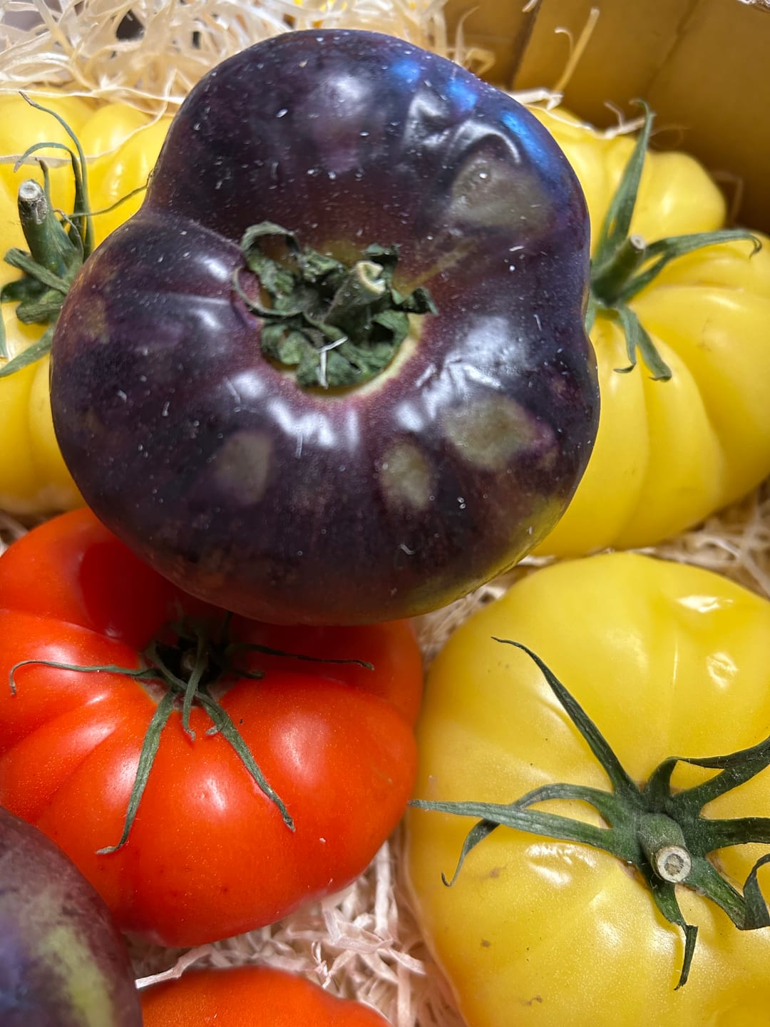 Customer photo review of Tomaten Mix von Julian Sonderaktion % 3kg Box