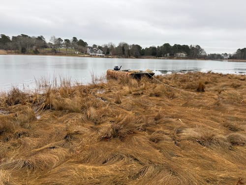 Customer photo review of Hunting Blind Raffia Grass (Pack)