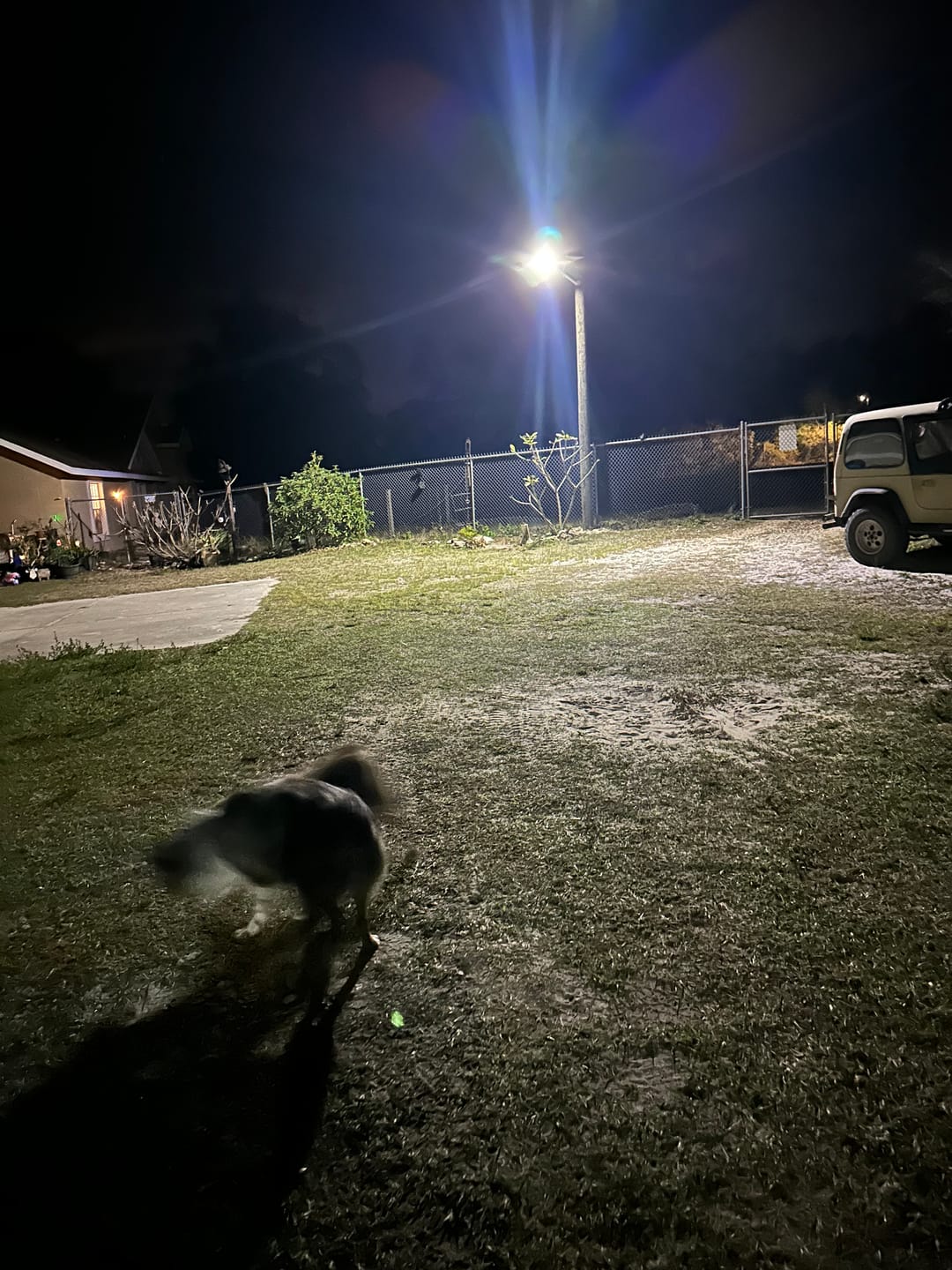 Customer photo review of 1500 W solar street light -40,000 lumens