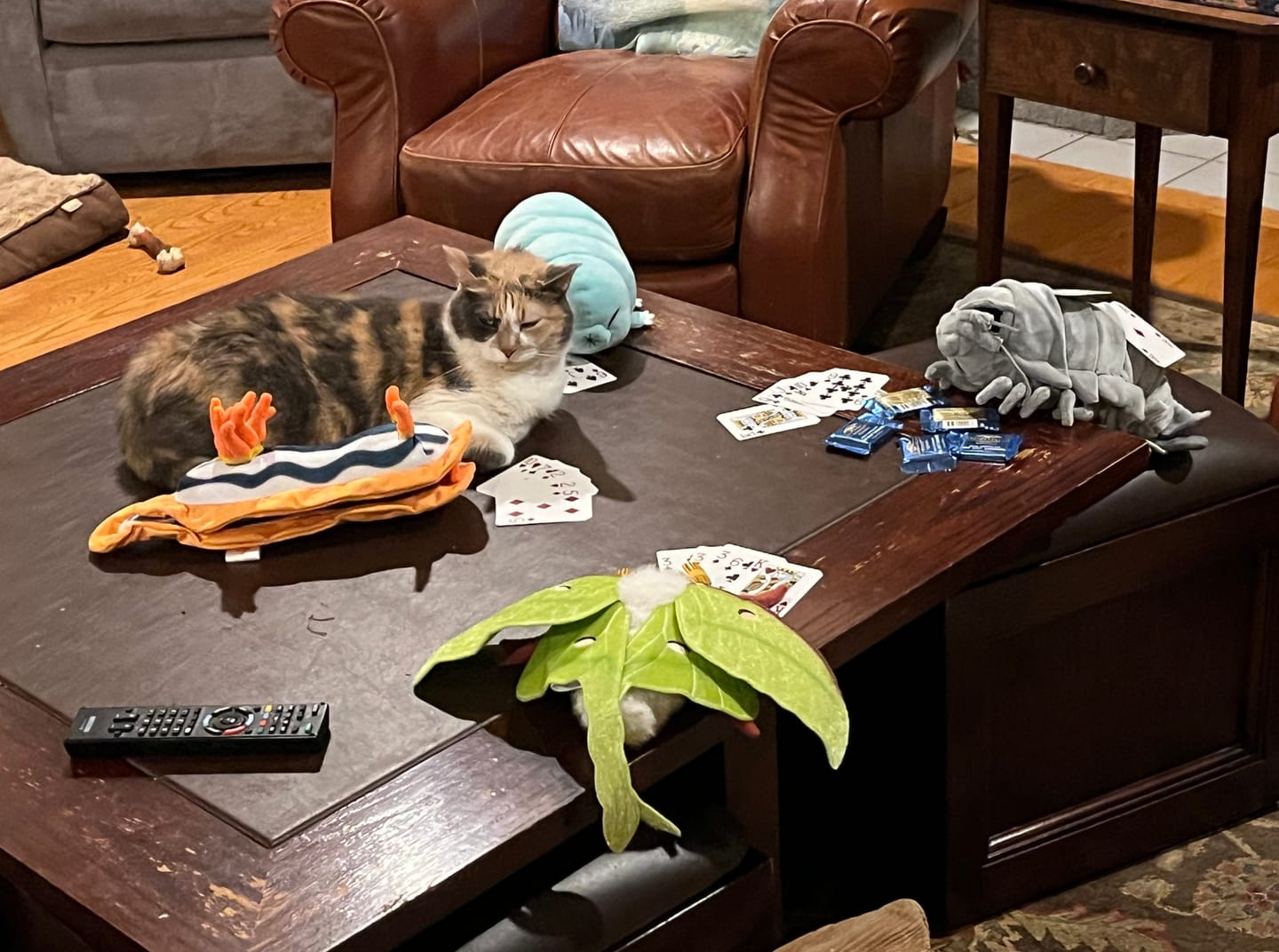Customer photo review of Giant Isopod Soft Stuffed Plush Toy