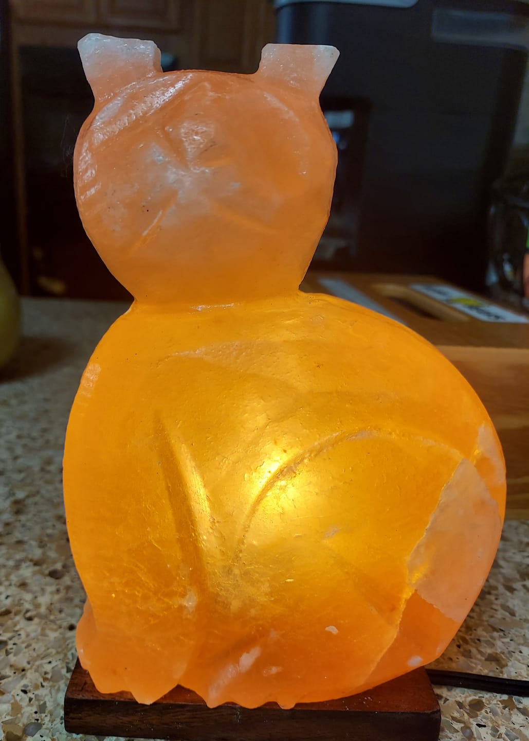 Customer photo review of Purrfect Cat Himalayan Salt Lamp
