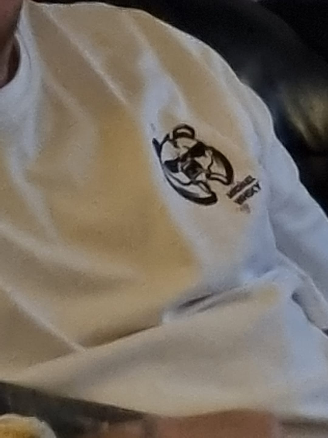Customer photo review of Panda T-Shirt