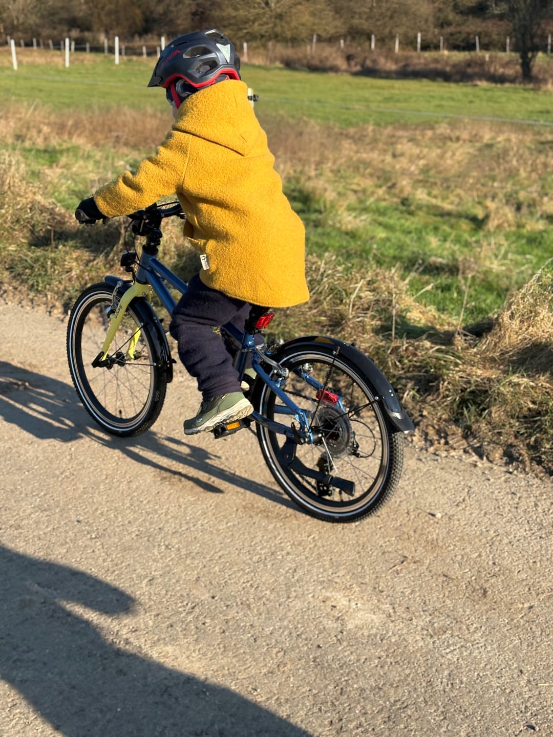 Customer photo review of whizzy Kids XMAS Bike | WildCruiser 20'' Fahrrad Leichtgewicht