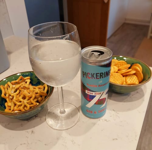 Customer photo review of Pickering's Gin & Tonic Cans