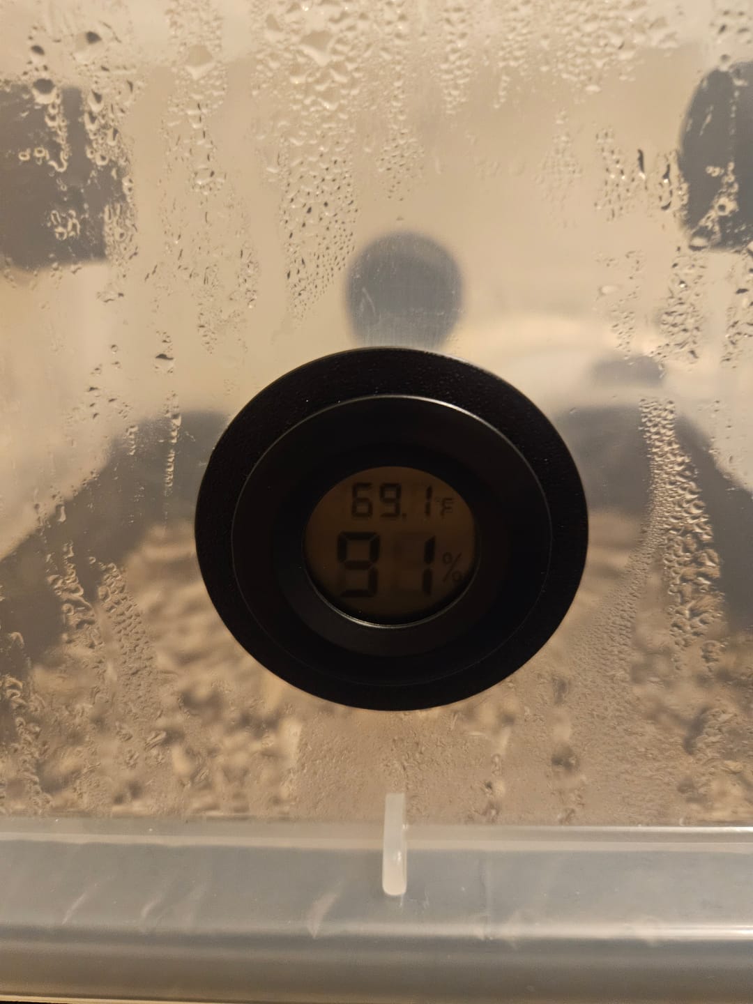Customer photo review of Monotub Hygrometer/Thermometer