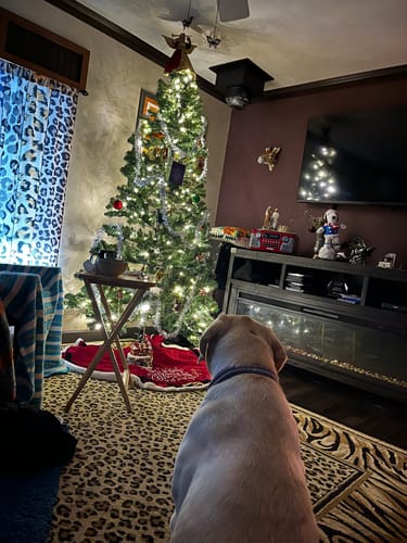 Customer photo review of Tummy Essentials