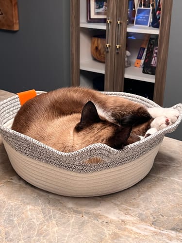Customer photo review of Instinct Basket | Handwoven & Chemical-Free Cat Territory