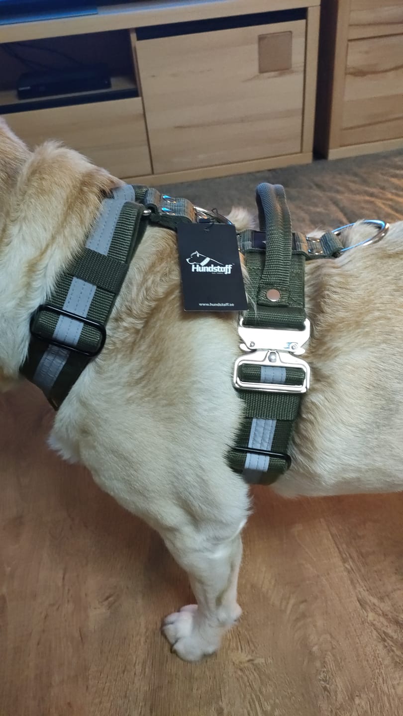 Customer photo review of Easy Walk Extreme Safe Khaki - Sele med reflex & snabbspänne