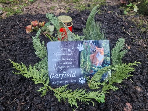 Customer photo review of Katzen Gedenktafel mit Foto & Spruch (UV- & Wetterfest)