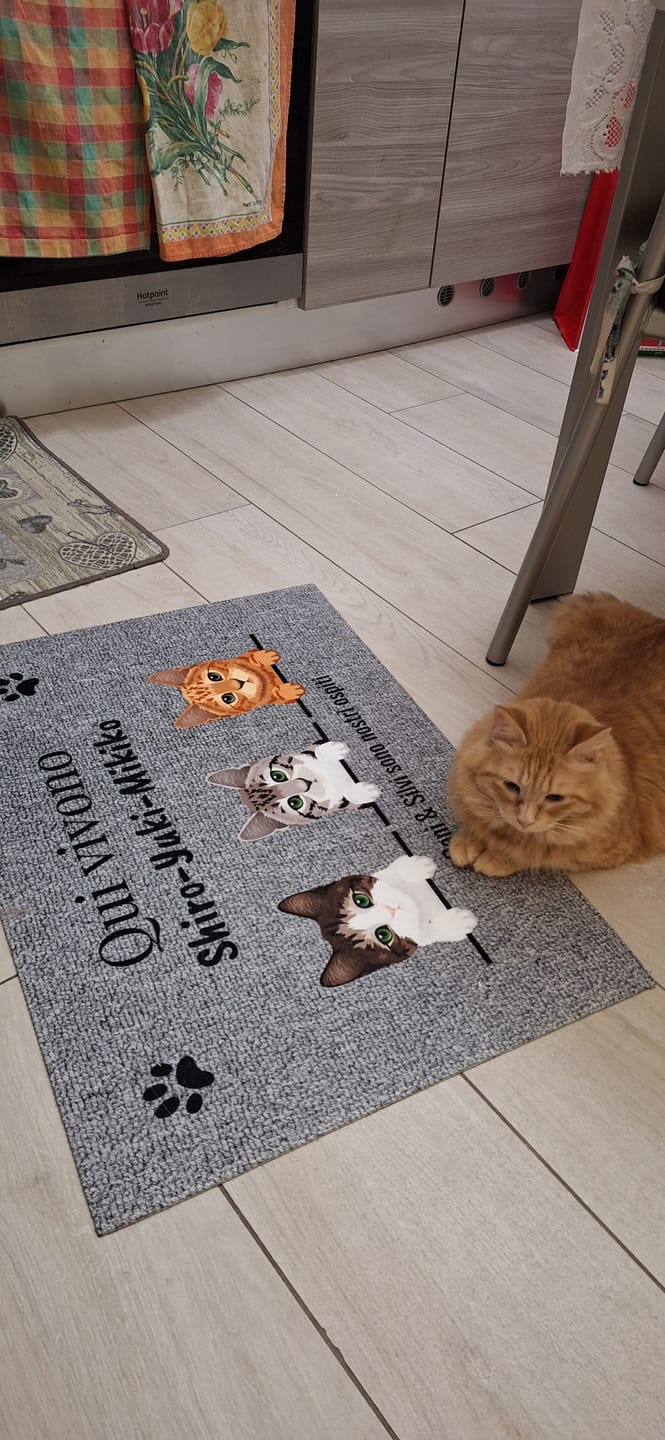 Customer photo review of Benvenuti da – Zerbino personalizzato