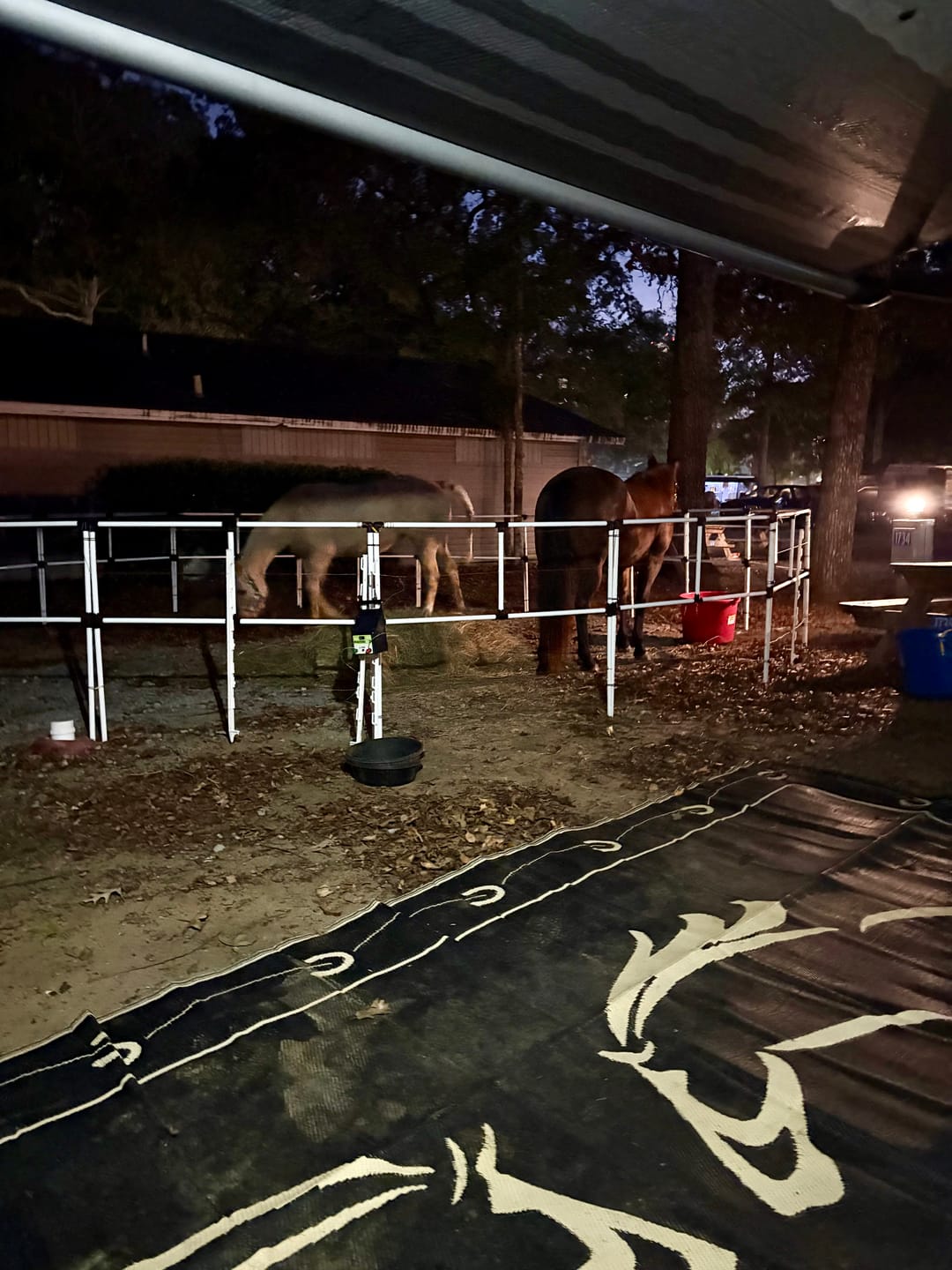 Customer photo review of Ready Made Portable Electric Horse Corral Fencing: (Electric EconoLine 8 Panels; 2 Rails)