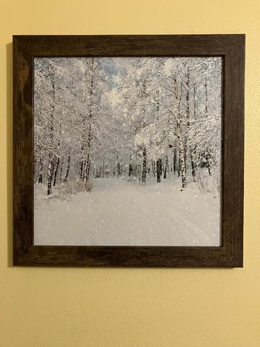 Customer photo review of Let It Snow by Summer Snow SN54