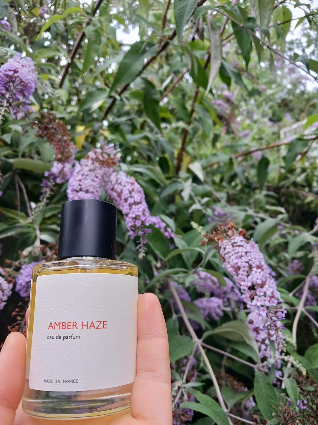 Customer photo review of Amber Haze