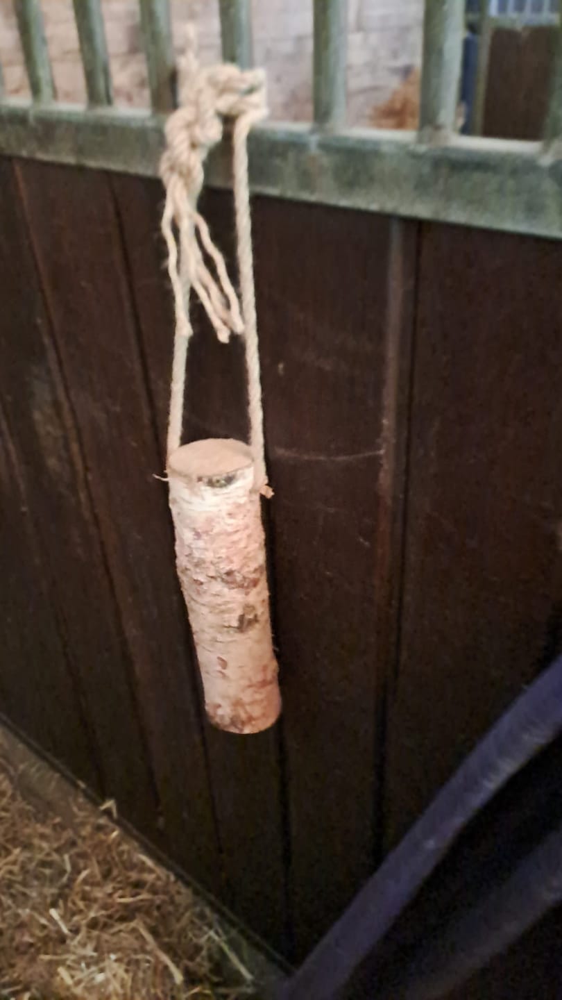 Customer photo review of Knusperholz - limitiert! Der natürliche Knabberspaß für dein Pferd