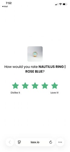 Customer photo review of NAUTILUS RING | ROSE BLUE