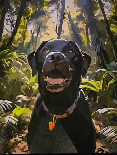 Customer photo review of Custom Pet Paint By Numbers