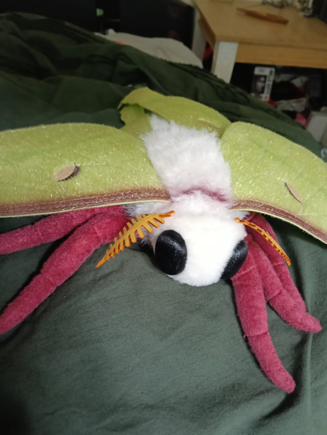 Customer photo review of Indian Moon Moth Soft Stuffed Plush Toy